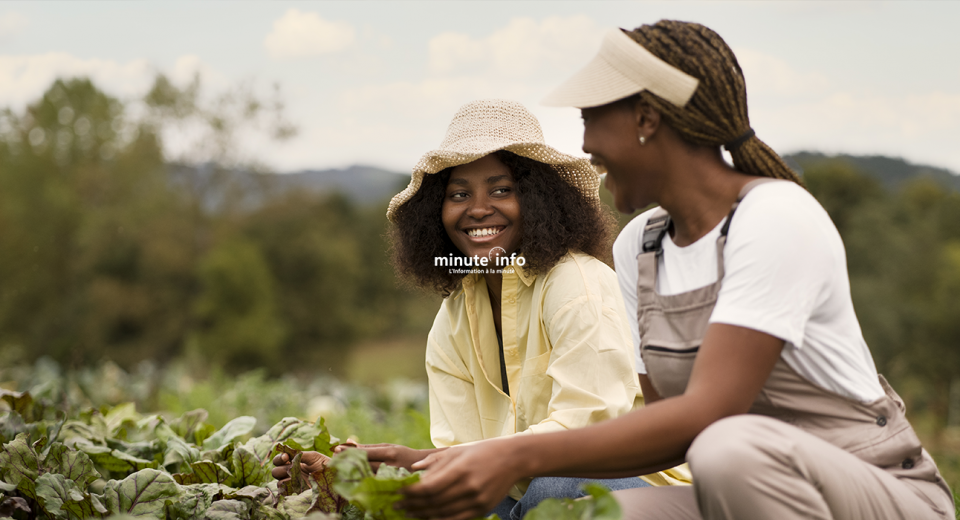 Image Agricole