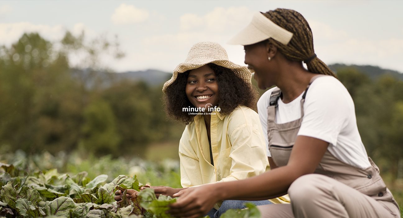 Image Agricole